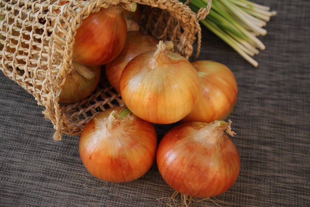 Fresh Nepali Onion from set devi Nepal